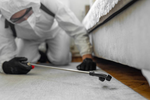 Professional Termite Control technician working in Festus, MO